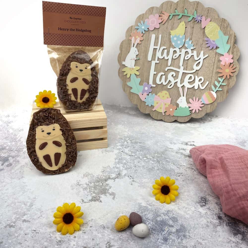 Henry The Chocolate Hedgehog makes the perfect Easter gift